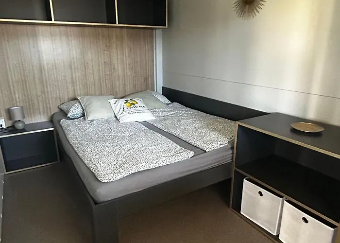 11 Limoni Сукошан